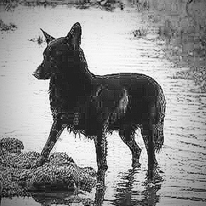 Experimental Hour 007 - Investigations of a Dog (pt. 1)