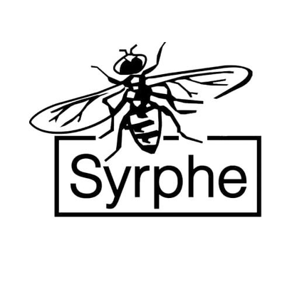 Syrphe