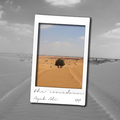 The Comedown 041 - Ayub Ali