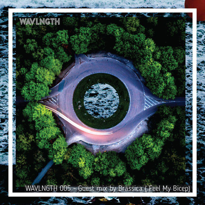 WAVLNGTH 005 : The Brassica Edition - Aneesha Kotwani