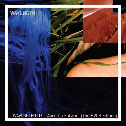 WAVLNGTH 003 : The HVOB Edition - Aneesha Kotwani