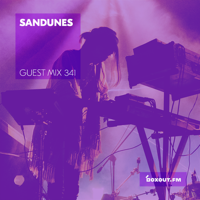 Guest Mix 341 - Sandunes