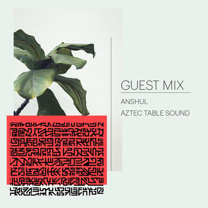 Shuffle Mode 019 - Guest Mix by ANSHUL & AZTEC TABLE SOUND