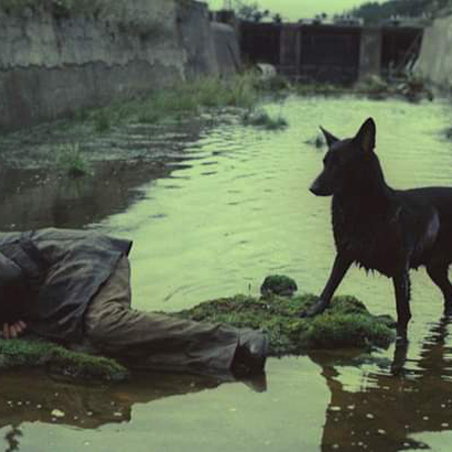 Investigations of a Dog