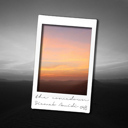 The Comedown 048 - Siamak Amidi
