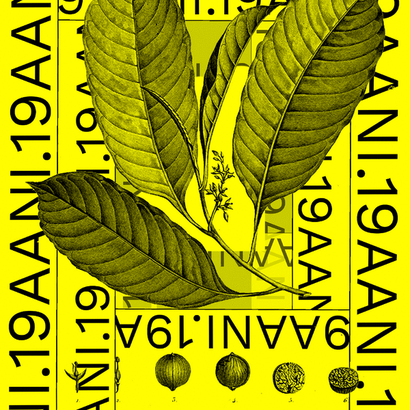 Curate Session 19